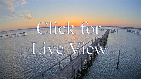 chincoteague live cam|chincoteague webcam.